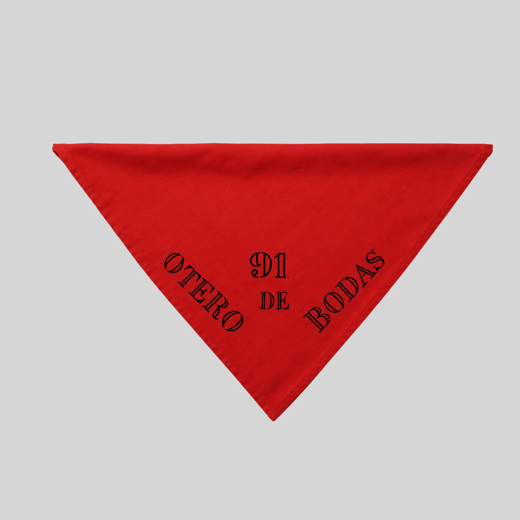 Pañuelo 1991 Primeras fiestas de la juventud.